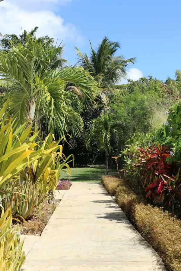 Sea Glass Villa - Spacious 3 Bed / 2 Bath Saint James Exterior foto